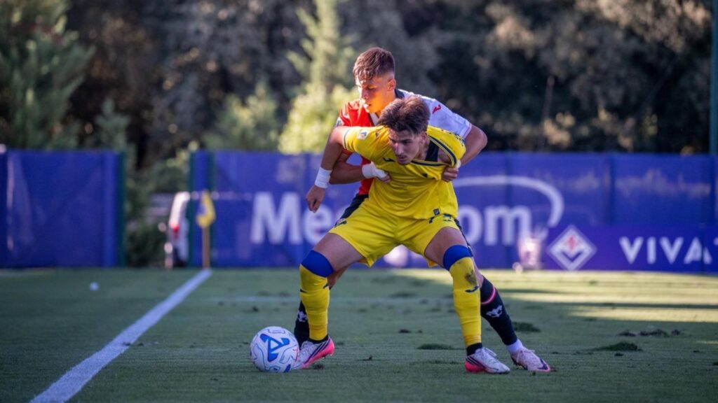 hellas verona vs fiorentina primavera