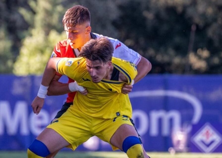 hellas verona vs fiorentina primavera