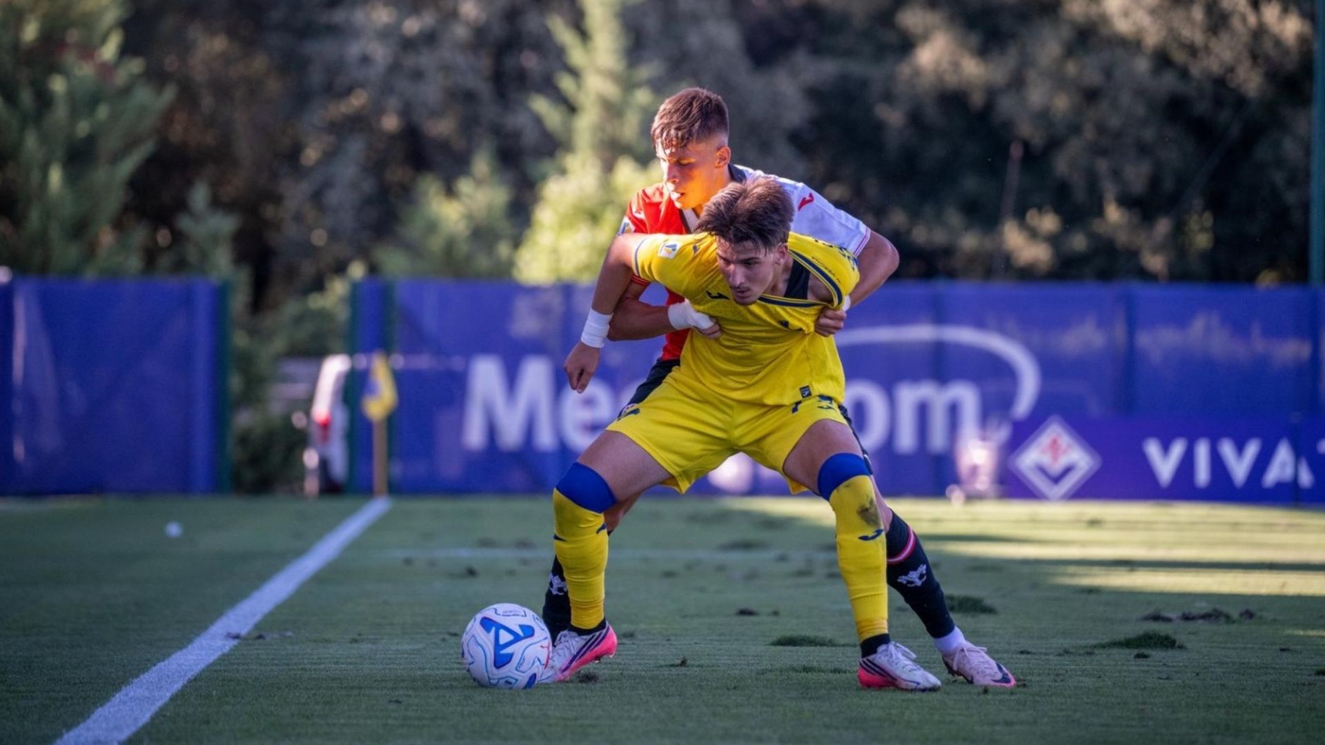 hellas verona vs fiorentina primavera